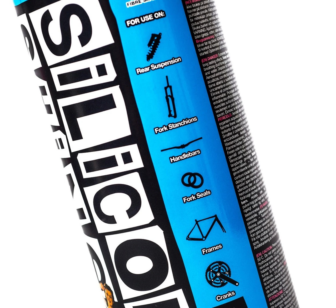 Silicon Shine